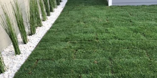 Sod Installation