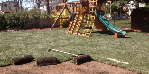 Sod Installation, St Augustine Sod, Bahia Sod