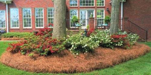 Landscaping, Landscaping Company, Landscaping Contractor, Landscaping Company