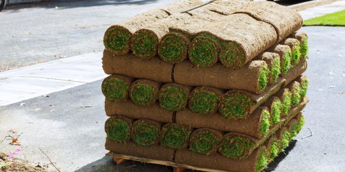 Sod Installation, St Augustine Sod, Bahia Sod