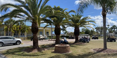 Tree Service, Tree Trimming, Tree Removal
