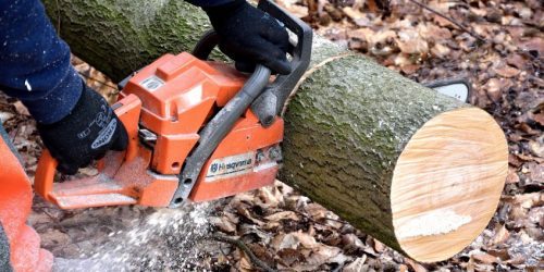 Tree Service, Tree Removal, Tree Trimming